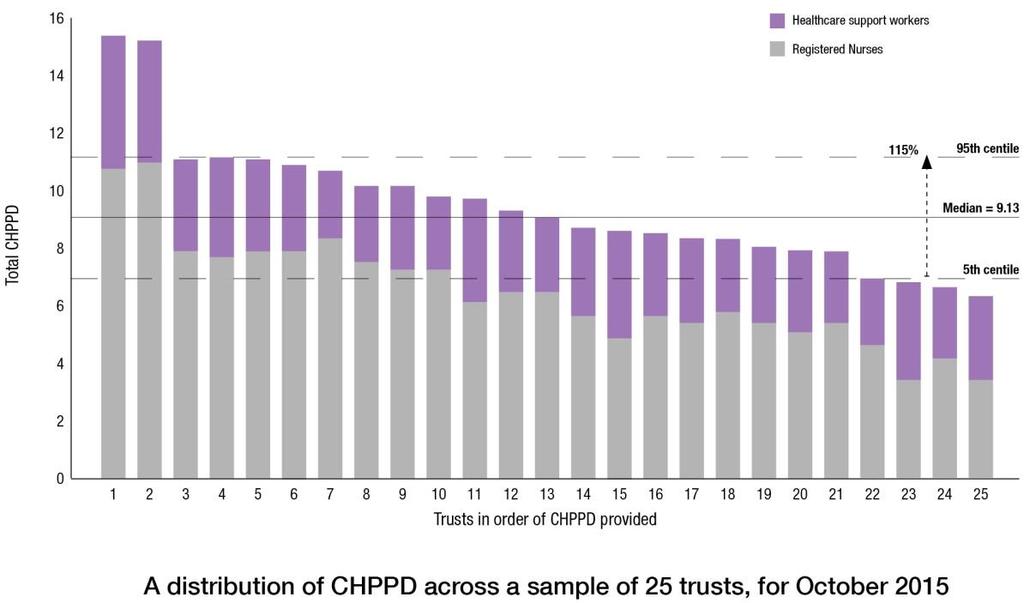a measurement that enables units of a similar size and patient group to be benchmarked The CHPPD metric will form one part of the Model Hospital