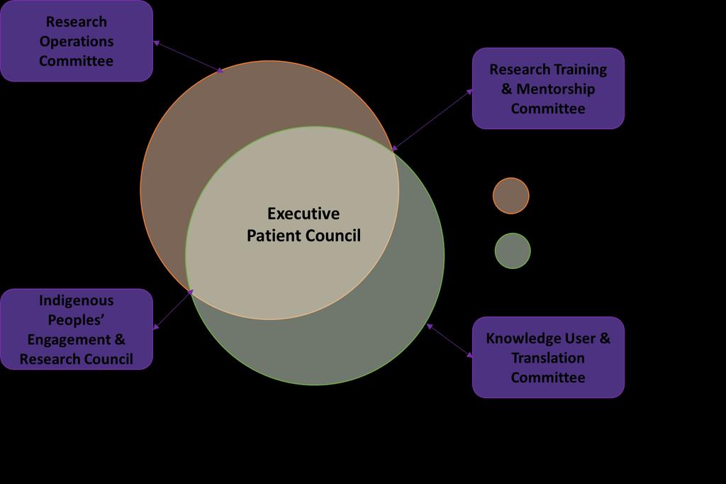 Appendix 2: Patient Council