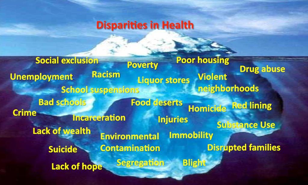 Tip of the Societal Disparities Iceberg 15 From Assistant Commissioner, MN Dept of