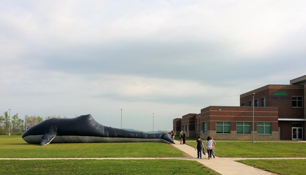 The Whale featured in the picture above was just one of the STEM Family Fun Day activities provided by the Concord University Division of Education, under the direction and guidance of Assistant