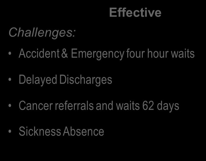 2014 15 Annual Review Effective Challenges: Accident & Emergency four hour