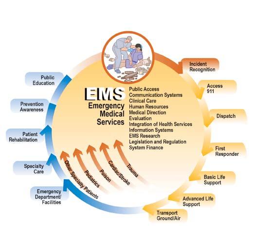 Local EMS systems represent a coordinated effort among many different organizations to deliver the best possible medical care to all patients.