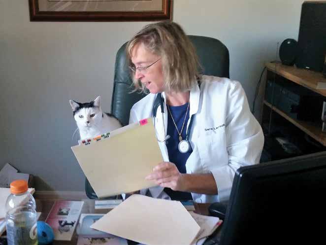 The Small Business Administration Tilton Veterinary Clinic: A Dream Come True The U.S. Small Business Administration (SBA) provides several pieces of the funding puzzle.