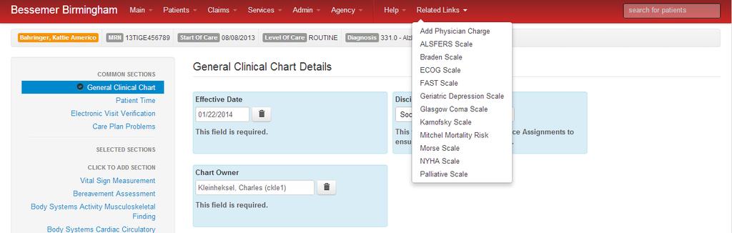 Completing a Clinical Chart Entry The Clinical Chart entry form looks like this: Menu The column on the left side of the screen lists all of the available charting elements Chart Entry Area The
