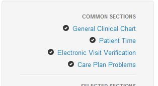 Functionality Common to All Chart Sections These functions and features are available throughout the clinical charting interface. Selected Sections indicated by check mark.