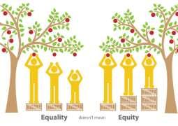 Introduction EQUITY FRAMEWORK Health inequities are a difference in health that are unnecessary, avoidable, unfair and unjust and amenable to policy change / intervention.