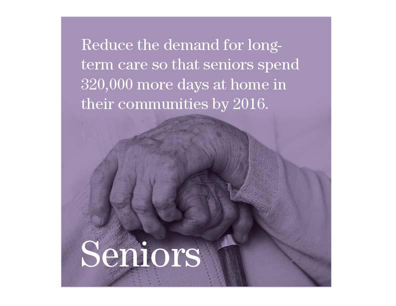 Investing in the Seniors Aim A Comprehensive Primary Health Care Model for At-Risk Seniors GAIN Community Teams