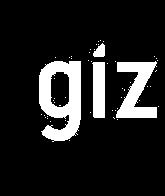 GIZ has over 50 years of experience in a wide variety of areas, including economic development and employment promotion, energy and the environment, and peace and security.