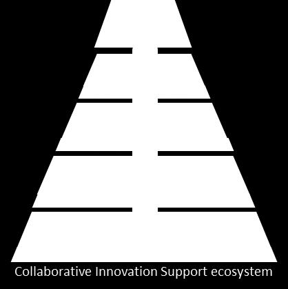 Solution: Collaborative innovation ecosystem Strategic objective Fostering the commercialization of knowledge and