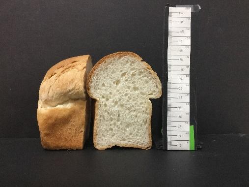 Flour quality was excellent for bread baking, with high water absorption (> 66%), high dough stability (> 20 min), and as the final baked product showed > 1000 cc in bread loaf volume (loaf volume