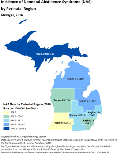 Inpatient Files, created using data from the Michigan Inpatient Database