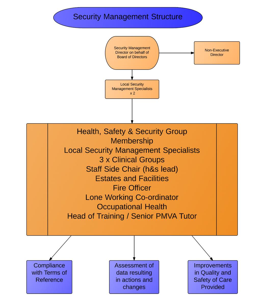 Strategic Governance Systems and Processes The Trust has in place a robust governance structure to deal with all safety and security related matters, the following structure describes the functions