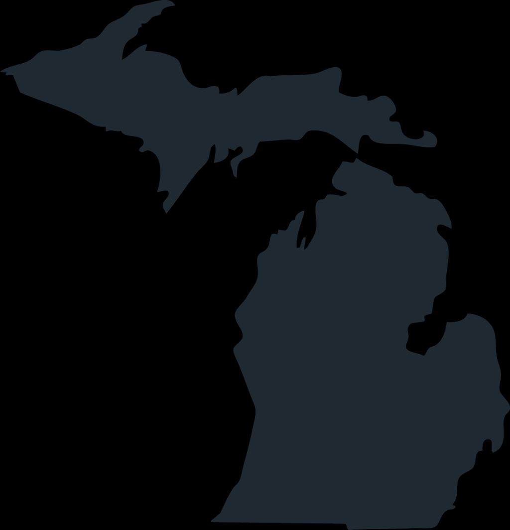 MICHIGAN NONPROFITS COUNT CAMPAIGN Established in 1990 About MNA State-wide membership