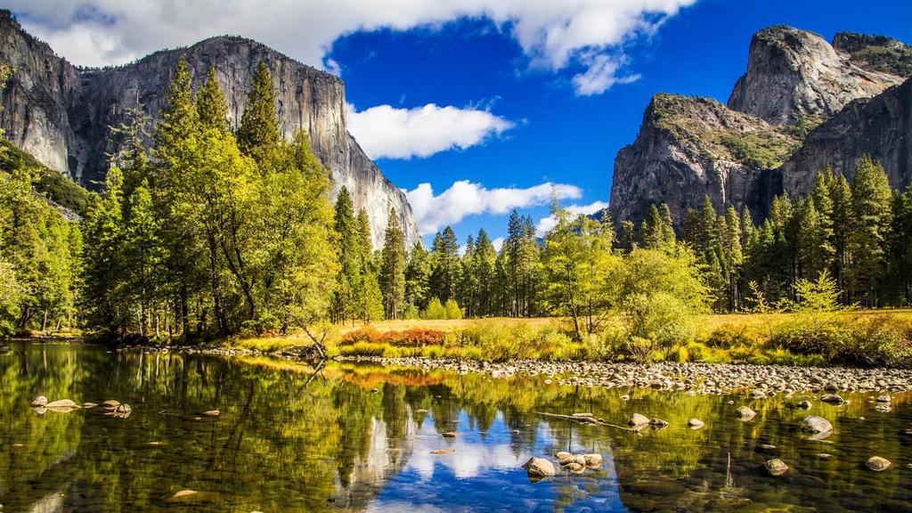 #MyTechIdea Session 3 Feb 10: San Francisco Yosemite National Park Transfer to San