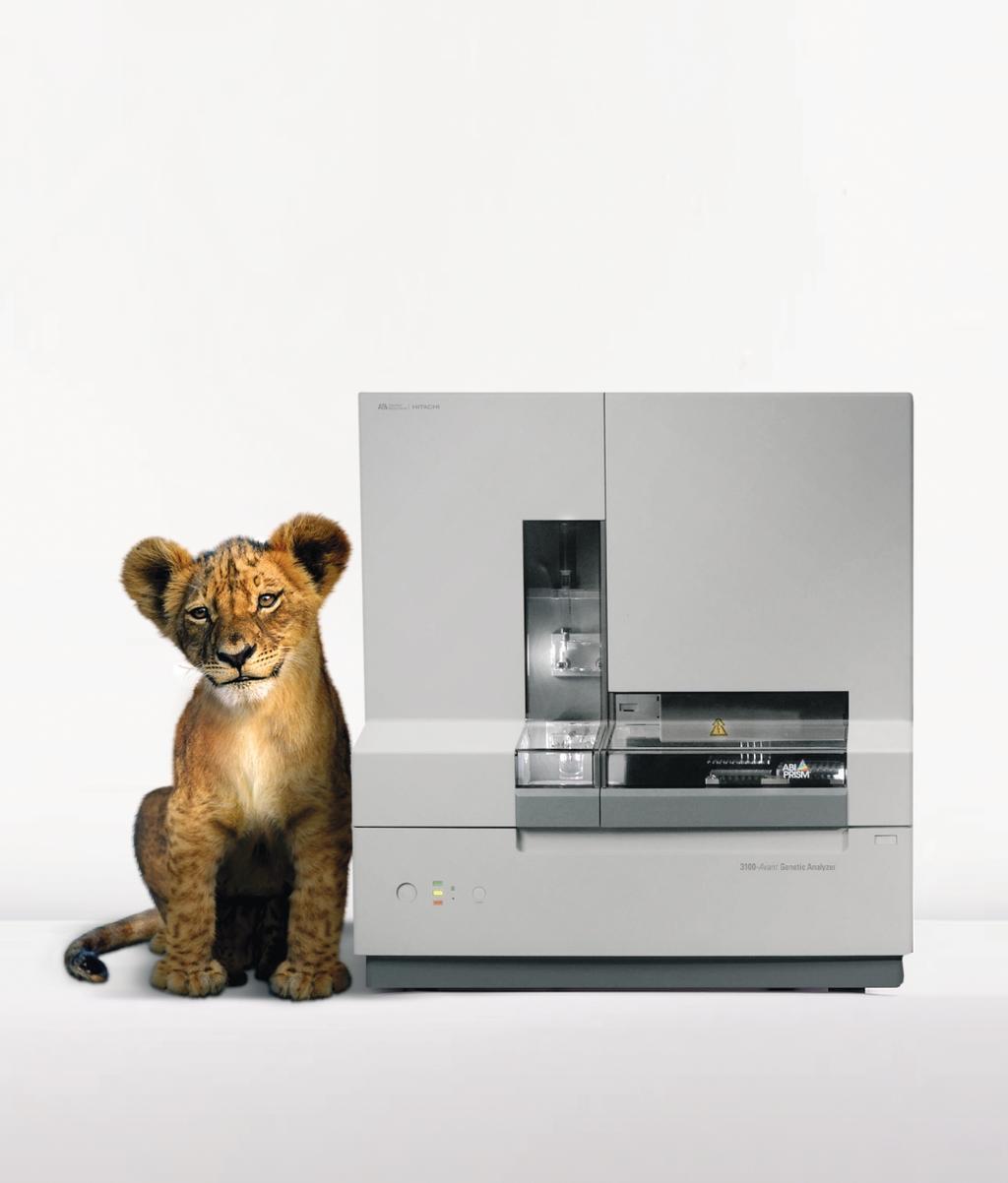 Growing with your throughput needs. The ABI PRISM 3100-Avant Genetic Analyzer makes efficiency come alive.