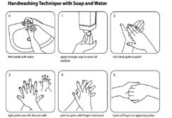 Decontaminate hands after removing ggloves When washing with soap & water, wet hands first, apply soap, rub vigorously for 15 seconds, rinse and dry.