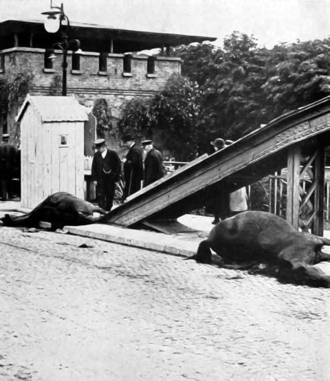 Pirmojo pasaulinio karo veiksmai Vakarų lietuvoje Vokietijos ir Rusijos pasienyje 1915 m. pradžioje Po Rusijos karių atsitraukimo iš Tilžės ant Karalienės Luizos tilto palikti kritę arkliai. 1914 m.