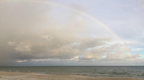 From the Rector Standing with my family and friends on the beach under a post-storm sky still thick with clouds, we saw the beginnings of a rainbow.