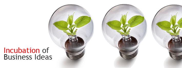 Definition incubation Transformation of new, innovative ideas into successful business.