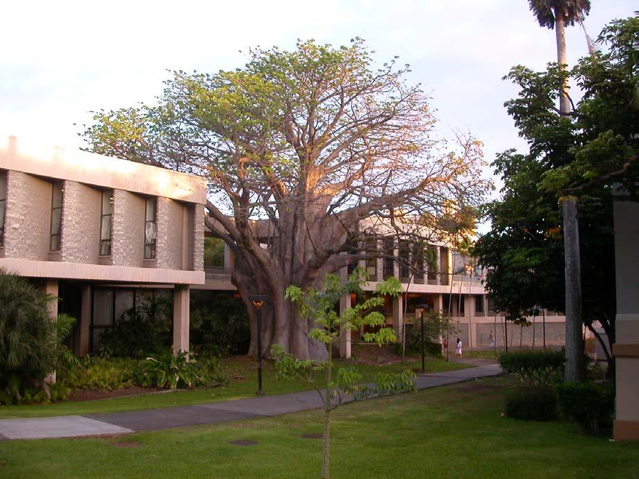 DELTA SIGMA University of Hawaii at