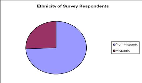 ETHNICITY There are also virtually no differences between the ethnicity of survey respondents compared to the ethnicity of clients served under Part A as a whole.