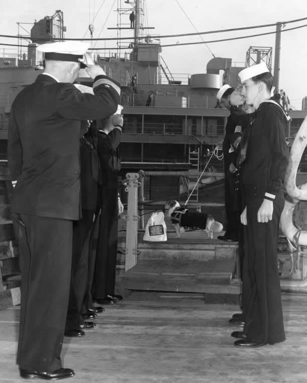 On 30 January 1949, Mascot First Class Victory, in his blue uniform along with his sea bag, was piped over the side of the decommissioned USS Iowa in Hunter s Point and transferred to the destroyer