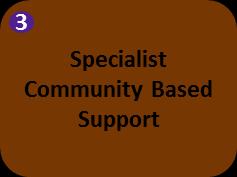 Setting of Care What already exists and is planned for implementation The fully operational Community Mental Health Team provides case management and specialist care in the community.