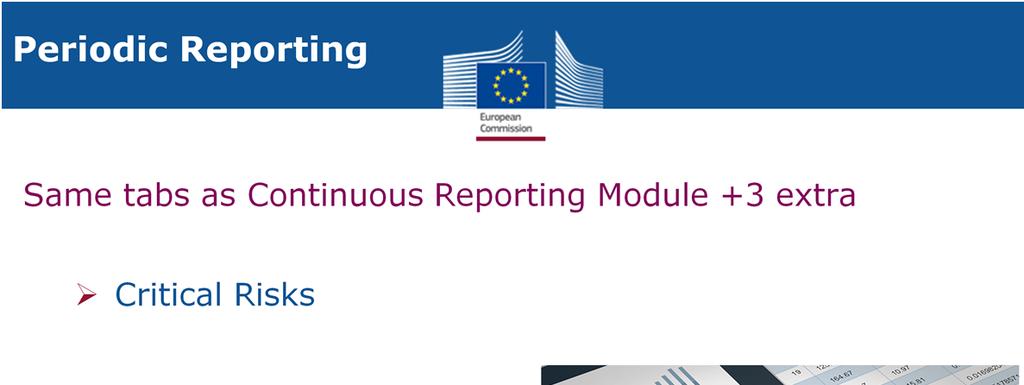 The Periodic Reporting module includes the same tabs (except Milestones) as the Continuous Reporting Module (which can be updated from the Periodic Reporting) and some additional tabs that have to be