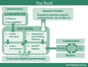 Bay Bank will facilitate landowner involvement in market-based programs by communicating the rules of the road, evaluating opportunities, and connecting landowners to project developers and buyers.