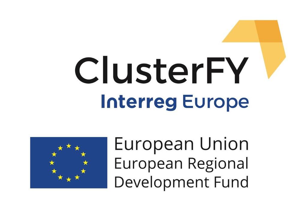 ClusterFY project coordinator