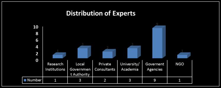 Experts Interview Analysis Functions Distribution Experts Interview Analysis Current Orientation of
