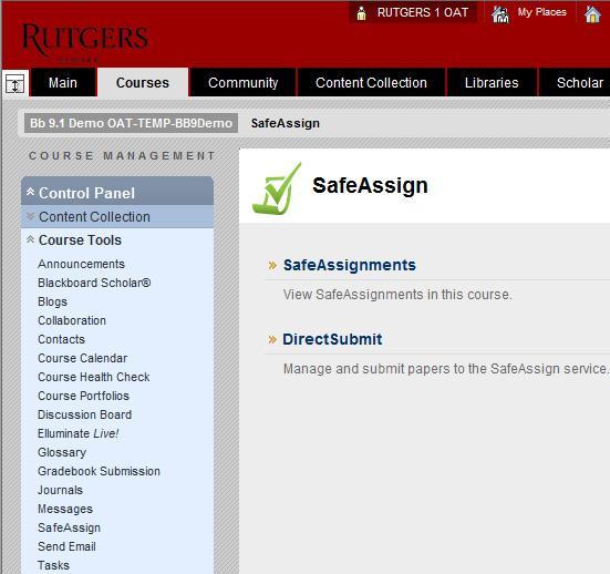 Viewing SafeAssignment Submissions through Course Tools From the blue Control Panel, click on Course Tools.