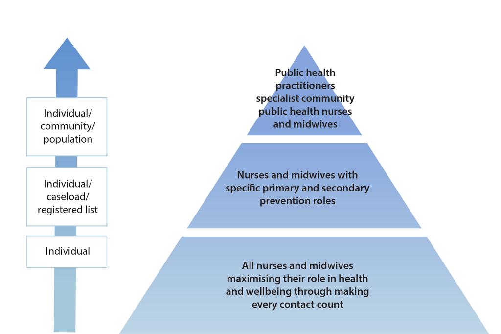 9 Nursing and Midwifery Contribution to Public Health Three levels of
