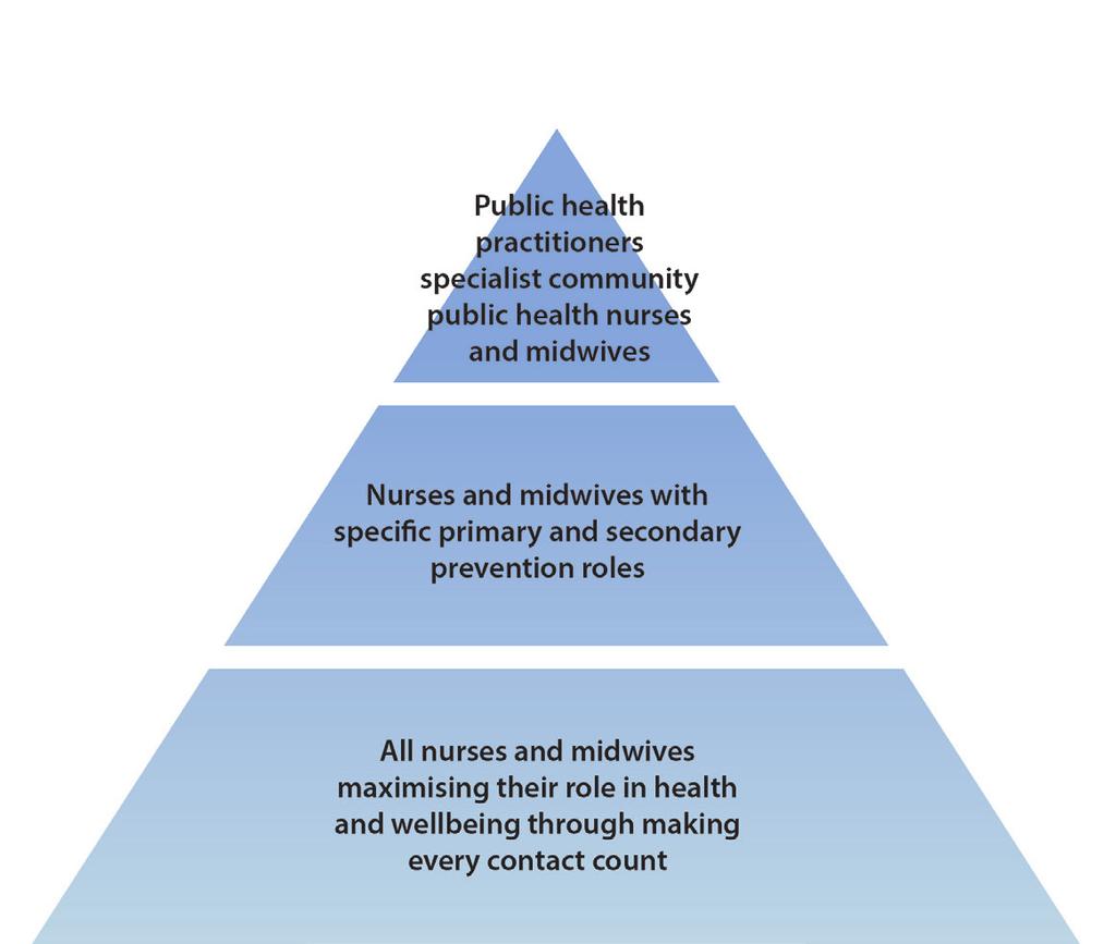 8 Nursing and Midwifery Contribution to Public Health Components of Public Health