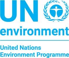 AMENDMENT TO UN ENVIRONMENT S WORK PROGRAMME 2017 Presented to the 80 th Meeting of the Executive