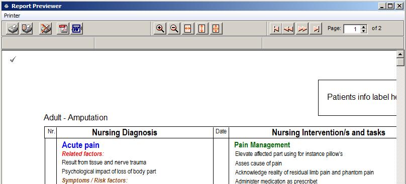 How to View and Print a Care Plan To view or print a selected nursing care plan, click on the 'View/Print' button in Designer.