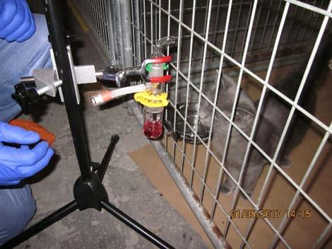 quarantine facility Involved over 300 emergency response ASPCA volunteers, from 33 different states Air and surface samples