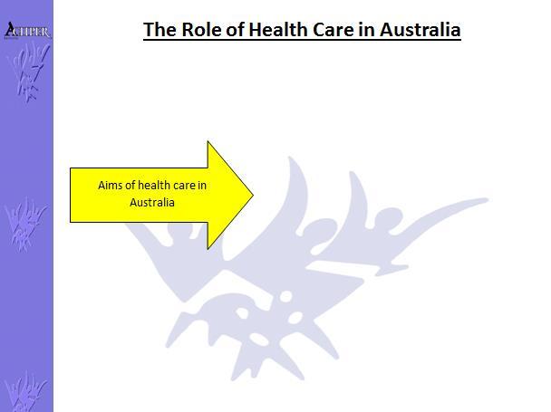 health care in Australia, by investigating issues of access and adequacy