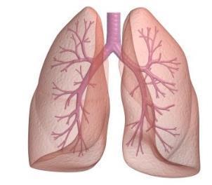 COPD is a large and growing market COPD is the third leading