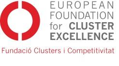 CATALONIA: A WORLD-CLASS CLUSTER ECOSYSTEM Cluster