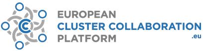 Cluster Internationalisation Programme for SMEs European Cluster Collaboration Platform (ECCP) Call for tender 2014 Budget: 1,2 M Start date of action: September 2015 (contract duration: 24 months)