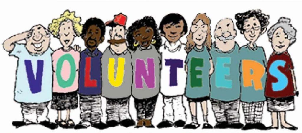 Grant Application: Volunteer Involvement Number
