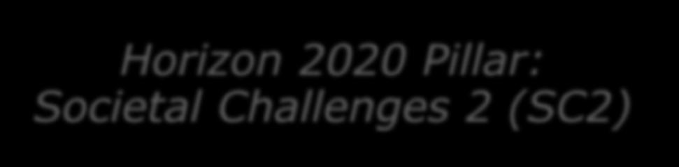 BASIC FACTS ON THE CHALLENGE IN WP2018-2020 Horizon 2020 Pillar: Societal Challenges 2 (SC2) Main call groups: Work Programme 2018-2020 Part 9: Food security, sustainable agriculture