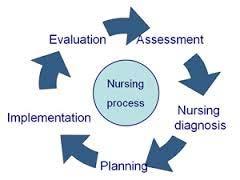 Shared Planning Assessment, Planning, Intervention and Evaluation between more than one health