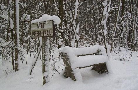 Once the snow fall is adequate, the walking trails are excellent for snowshoeing and cross country skiing.