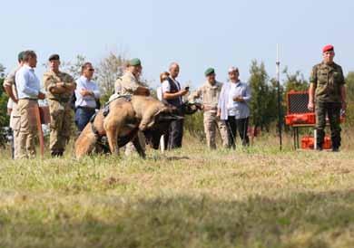 de-mining Chief of Staff visit to Demining area and Ammunition Storage Site On Thursday 9th August, EUFOR Chief of Staff (EUFOR COS), Brigadier General Horvath, paid a visit to a demining site and an
