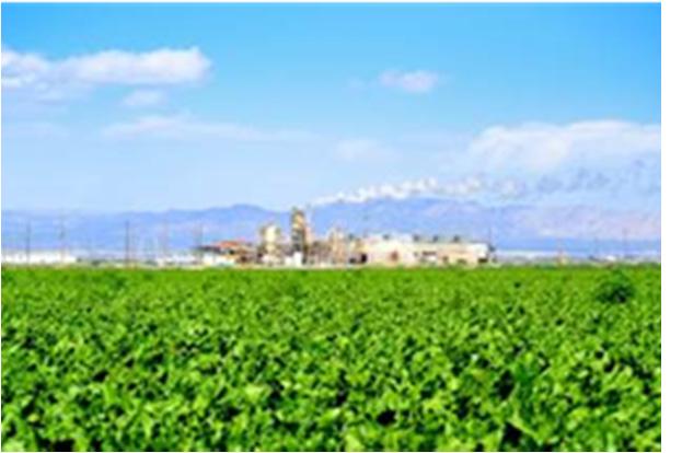 Agriculture in Imperial Valley Policy Group and Technical Working Group The development of the NAFEC JLUS was guided by two committees, comprising city, county, NAFEC, federal and state agencies,