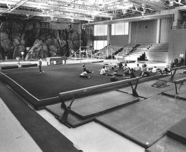 NC State Facilities CARMICHAEL GYMNASIUM The NC State gymnastics team enjoys the luxury of practicing and training in Carmichael Gymnasium, which includes a state-of-the-art gymnastics facility.