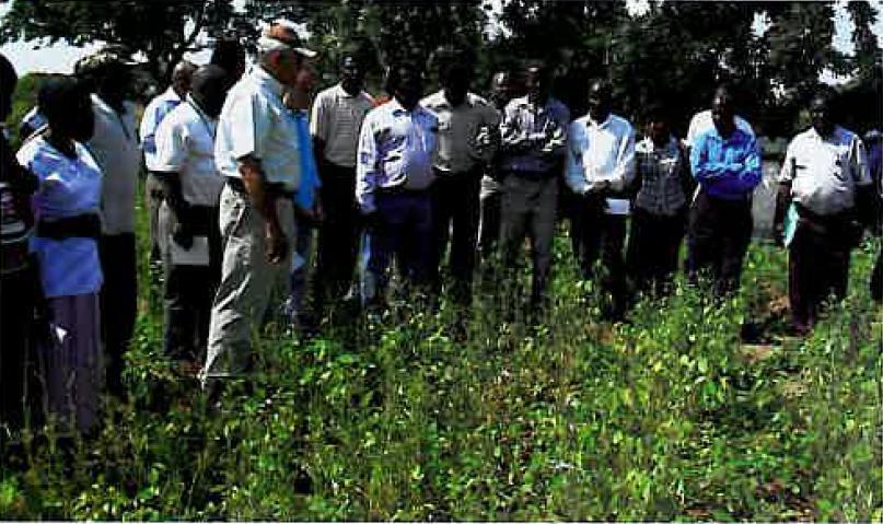 MCF has funded a project for smallscale farmers to produce, process and sell 300 tons per month to Limpopo