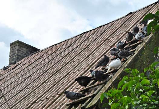 In 2012, the activity Replacement of Asbestos Roofing under Axis 3 measure Village Renewal and Development of the Programme was successfully implemented.